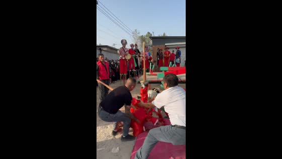 Performer falls during traditional stilt-walking performance in Hebei, China