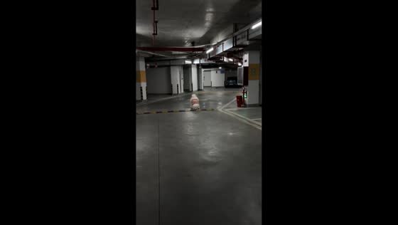 Overexcited dog trips over speed bump in Guizhou, China