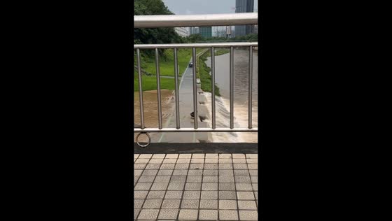 Man rescues stranded dog from river dam in Guangdong, China