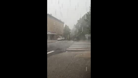 Strong storm knocks down tree in Brooklyn, New York, USA