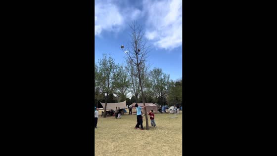 Children’s football and toy get stuck in tree in Hebei, China