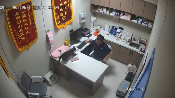 Energetic cat turns vet visit into chaotic chase in Zhejiang, China