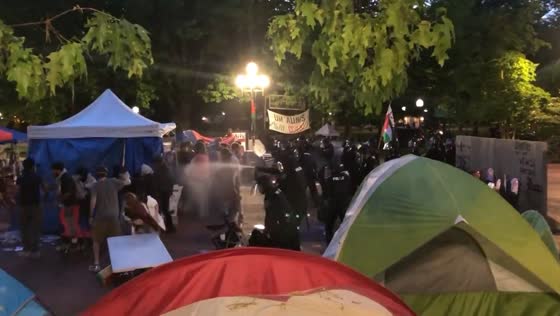 Michigan police use pepper spray on pro-Palestine student protesters