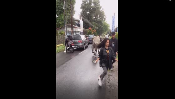 Pedestrian's video captures terrifying moment as a buffalo charges towards crowd in Solo, Central Java