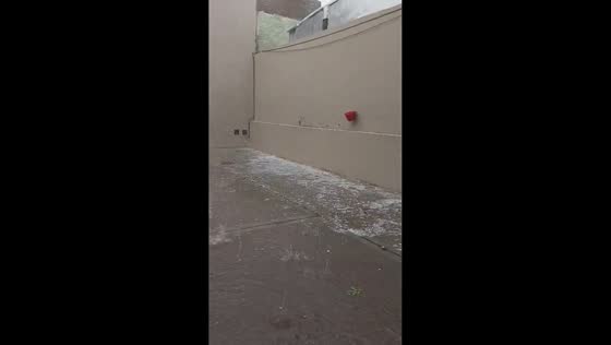 Severe hailstorm causes damage in Bahía Blanca, Argentina