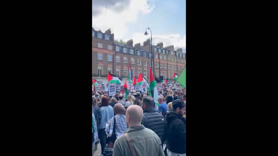 Pro-Palestinian protest in London calls for ceasefire