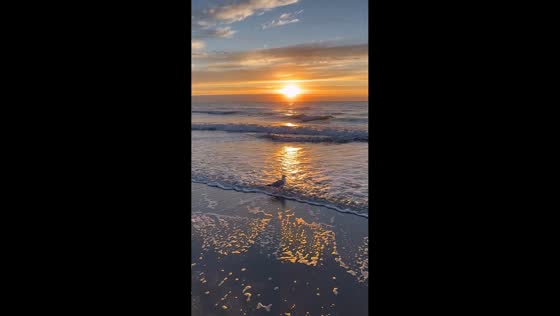Breathtaking sunrise at Surfside Beach, South Carolina, USA