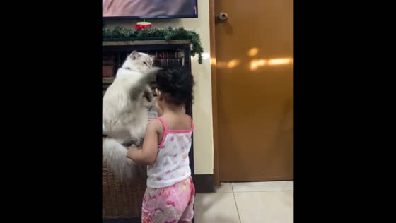 Baby teases cat and gets surprising reaction in Quezon City, Philippines