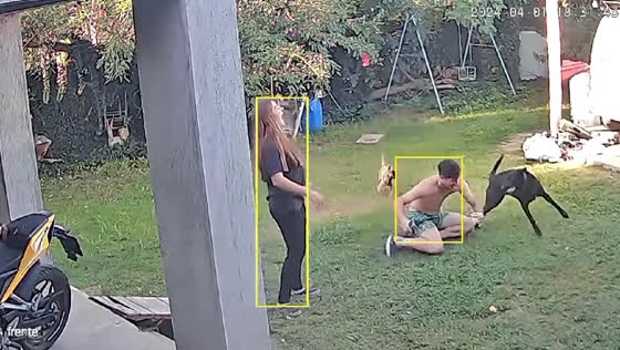 Dog's sneaky move sends boyfriend tumbling