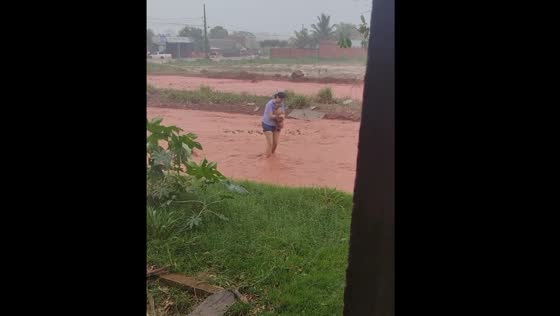 Person saves dog from heavy rain in Brasnorte, Brazil