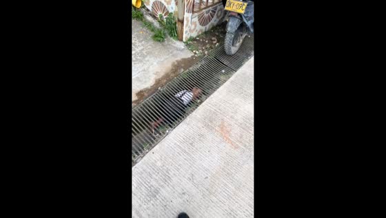 Little girl spotted crawling inside drainage system in Quinchía, Risaralda