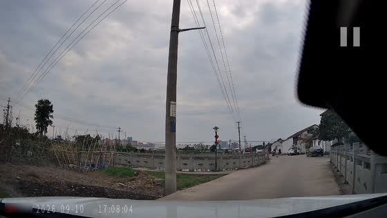 Alaskan Malamute collides with car while chasing another dog in Zhejiang, China