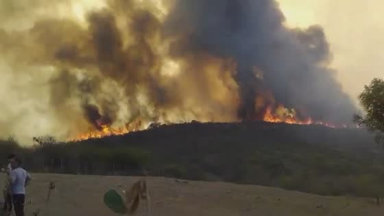 Wildfires ravage Córdoba as fierce winds challenge firefighters