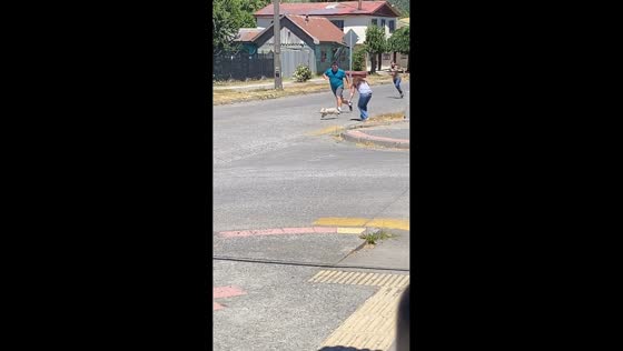 Pig evades capture as multiple people chase it in Lonquimay, Chile