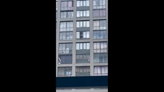 Cat rescued after getting stuck on 21st-floor windowsill in Yekaterinburg, Russia