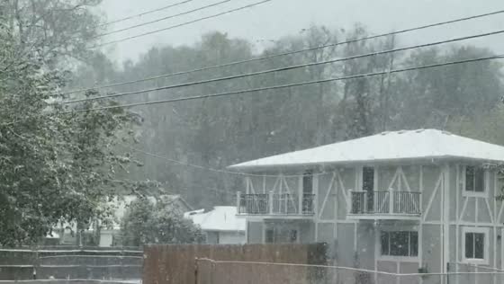 Late-season snowfall blankets Longmont during unusual spring weather in Colorado, USA