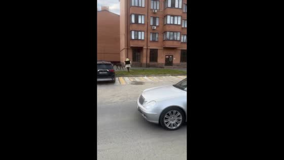 Donkey runs away from person wearing Shrek costume in Vladikavkaz, Russia
