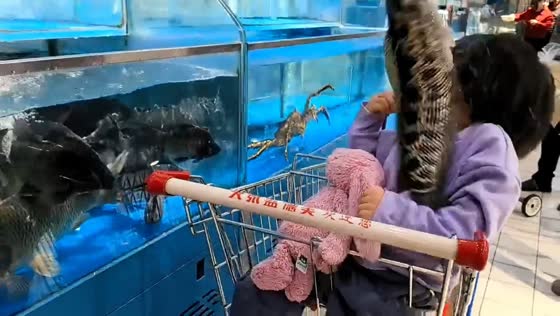 Unexpected catch surprises young girl in Henan Province, China