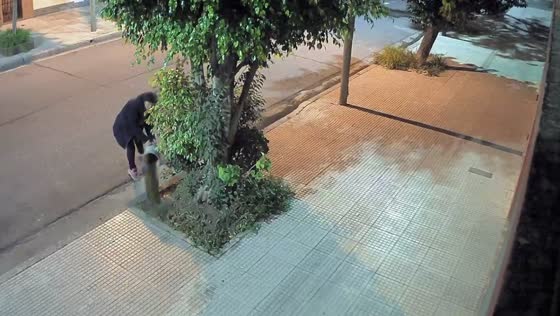 Neighbor caught on camera dumping dirt on sidewalk