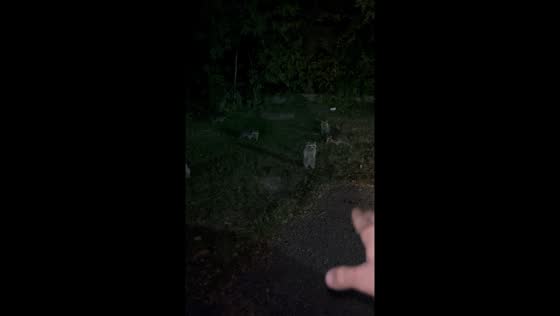 Raccoons sit on command in Richmond, Indiana