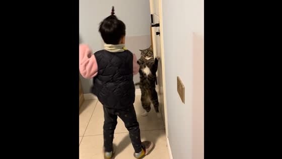 Cat and child playfully fight in Henan, China