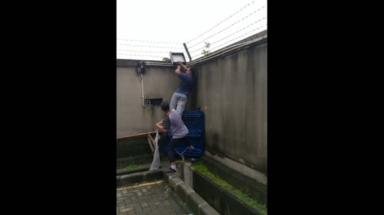 Panic and laughter: The man threw the big lizard to his friend