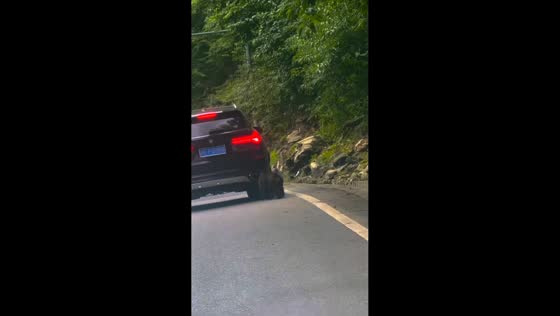 Monkey playfully pushes car after roadside feeding in Baoxing, Sichuan, China