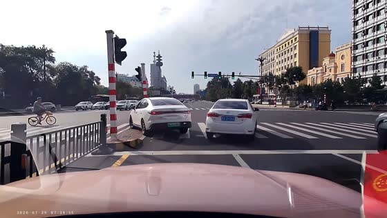 Car turns too early and crashes into pedestrian traffic light in Heilongjiang, China