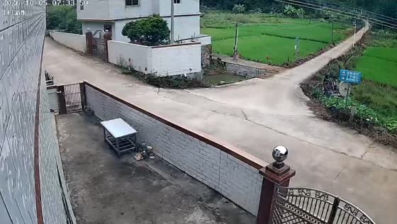 Tricycle slips and overturns while turning onto a narrow rural road in Guangdong, China