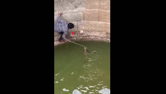 Rescuer saves drowning snake from well in Amravati, India