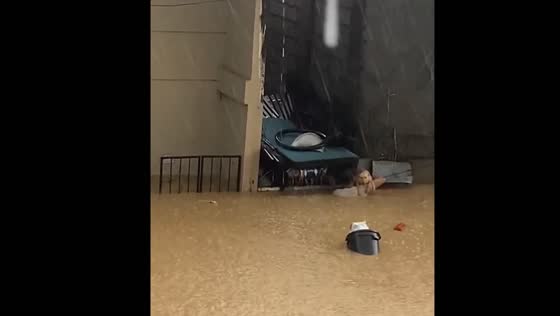 Man rescues dog from neck-high floodwaters amid typhoon Gaemi in Marikina