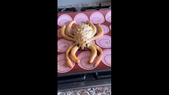 Arachno-baking marvel: mum's spidery pastry creation in Auckland, New Zealand