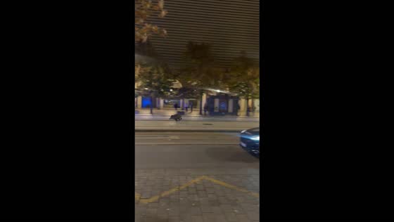 Wild boar runs through crowded festival streets before police end pursuit in Zaragoza, Spain