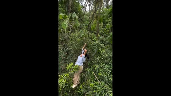 Woman takes a tumble while swinging on a vine in Tezu, India