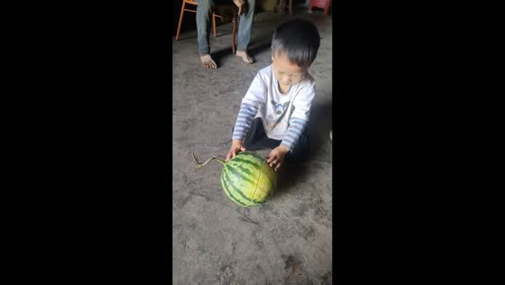 Boy uses head to crack watermelon in Sichuan, China