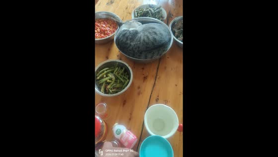 Sleeping cat becomes the center of a bowl arrangement in Sichuan, China