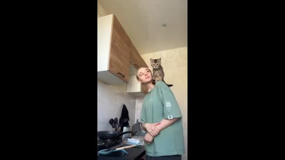 Kitten jumps at camera while cooking in Tomsk, Russia