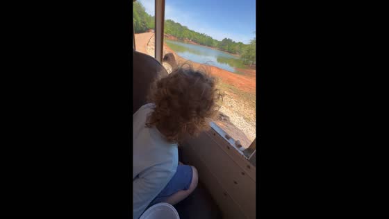 Child feeds treats to ostrich during wildlife safari in Lawrenceville, Georgia, USA
