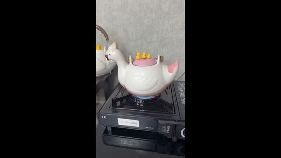 Duck-shaped pot quacks as water boils in Zhejiang, China