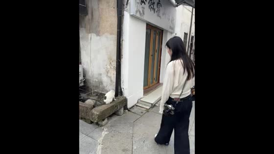Cat snarls as woman tries to get closer in Jiangsu, China