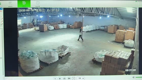 Playful dogs accidentally knock woman over inside warehouse in Hebei, China