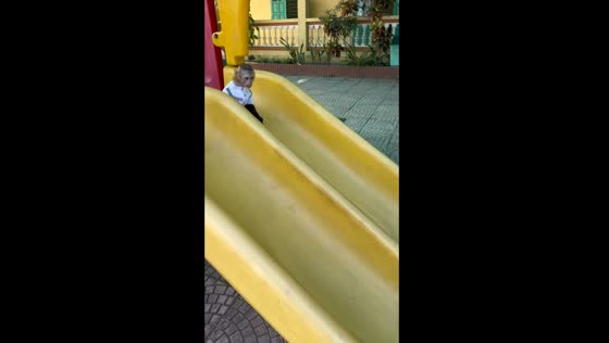 Playful moments: Lulu the 1-year-old monkey's slide adventure in Haiphong, Vietnam