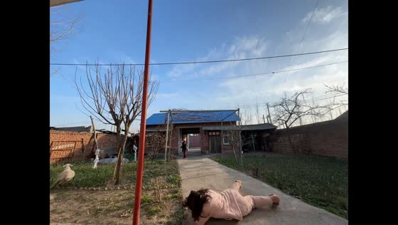 Woman trips while chasing sheep in Henan, China