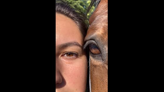 Synchronized gazes in Tbilisi