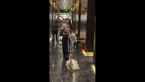 Woman walks goose in glowing tutu through event venue in Guangzhou, China