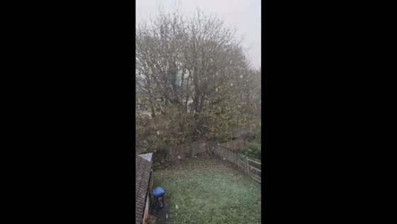 Intense snowfall blankets backyard in London, UK