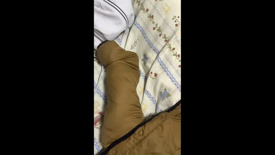 Cat snug in owner’s jacket sleeve in Jiangsu, China