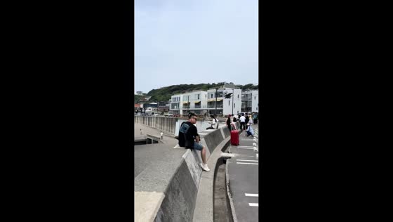 Eagle snatches ice cream from beachgoer in Tianjin, China