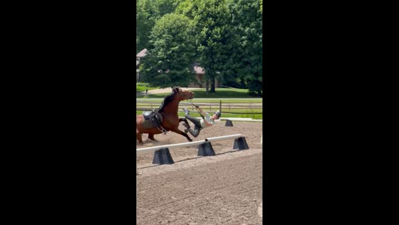 Horse trips and rider falls during jump in Minneapolis, Minnesota