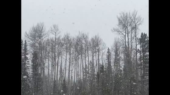 Heavy snowfall reduces visibility in Frisco, Colorado, USA